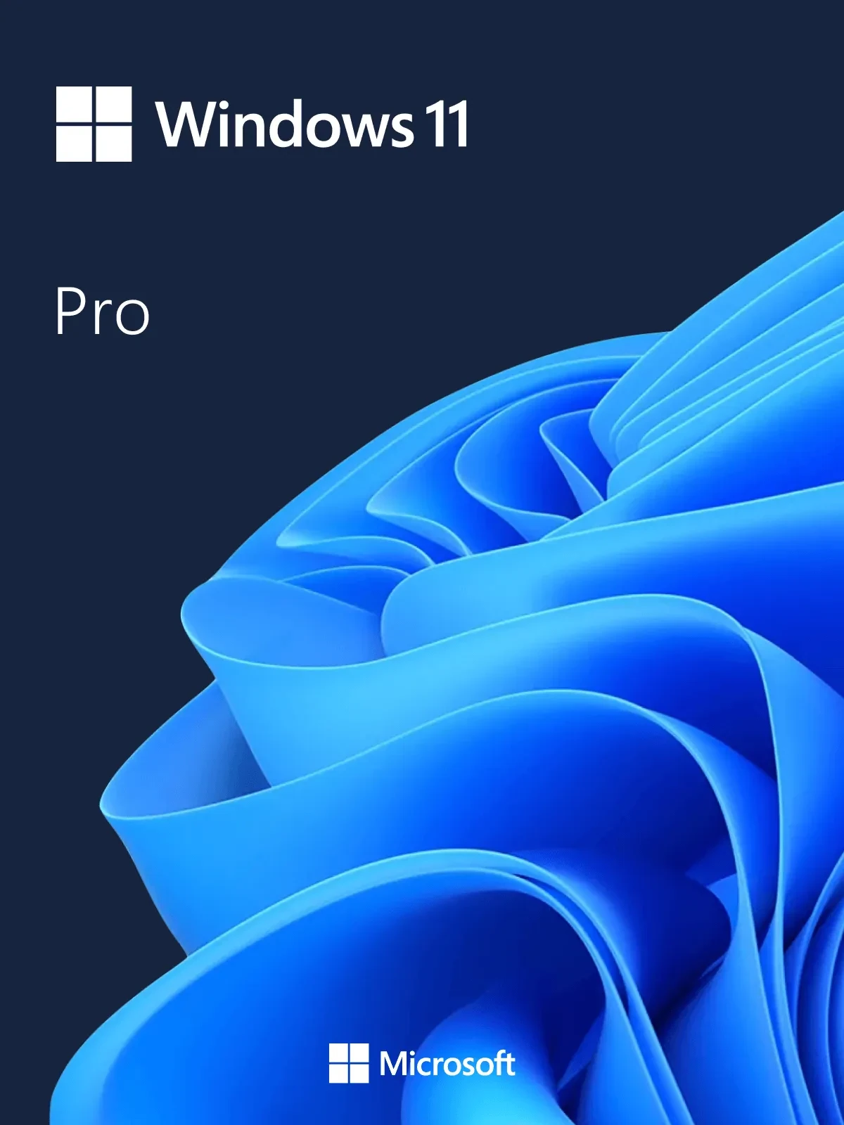 Windows 11 Pro